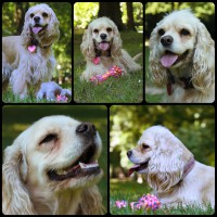 /album/fotogaleria/biely-peso-jpg/